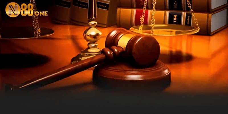 Được cấp đầy đủ giấy phép