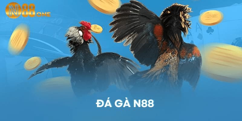 Giới thiệu sản phẩm đá gà N88 hot hit
