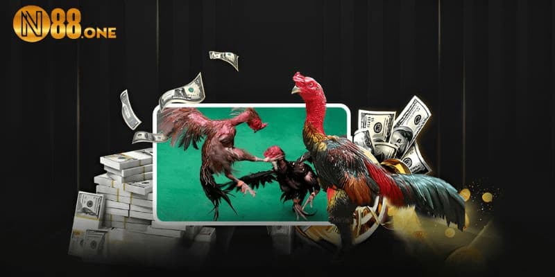 Tỷ lệ trả thưởng “đỉnh chóp”