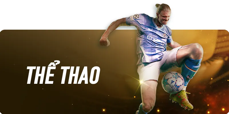 Banner thể thao N88
